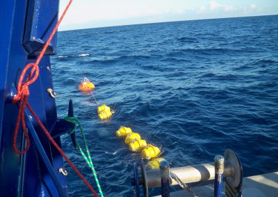 Arreglos de Boyas